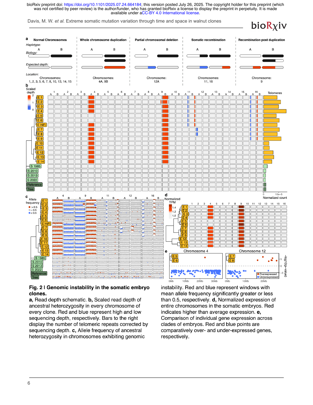 Genomic instability in walnut somatic embryo clones