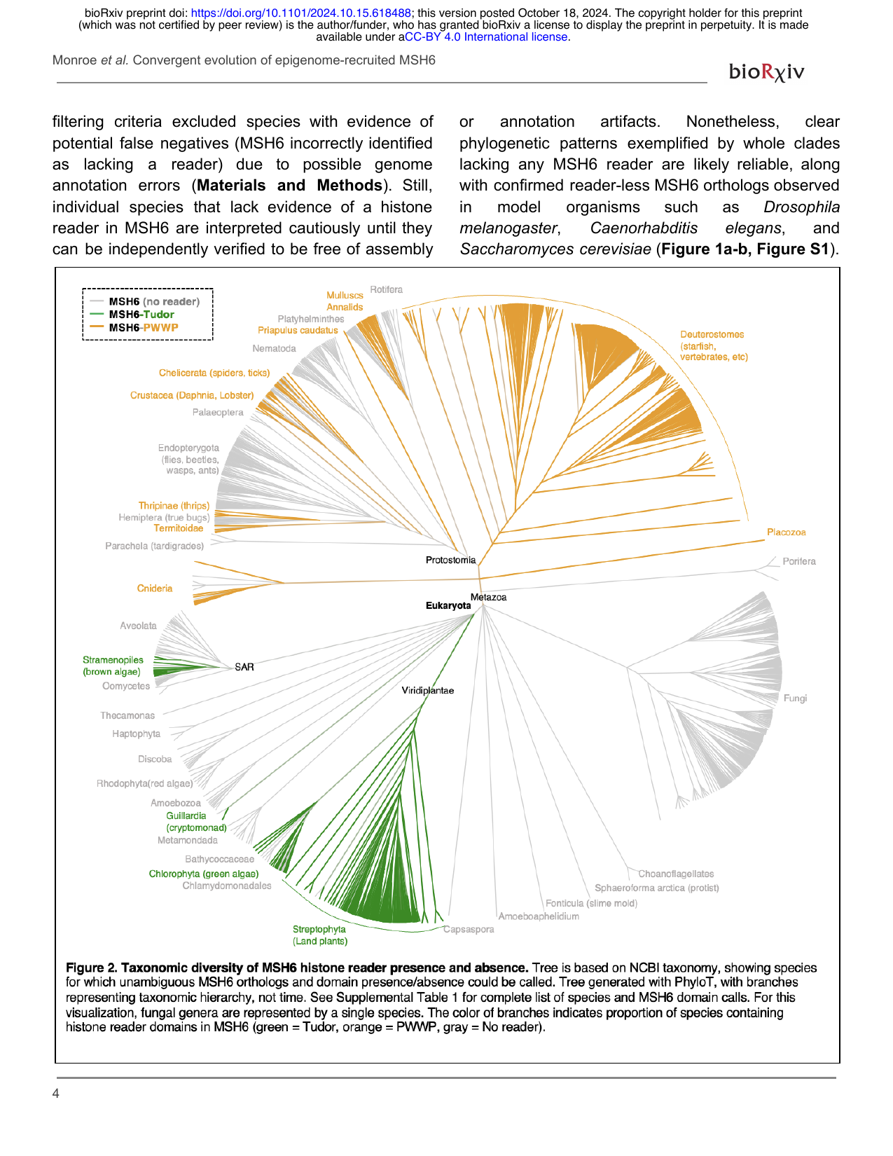 Convergent evolution of MSH6 histone reader domains across eukaryotes