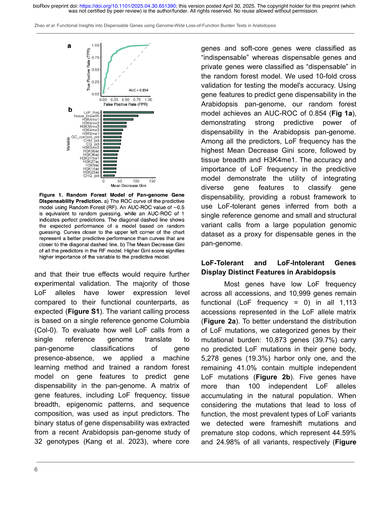 Random forest model predicting gene dispensability from LoF and epigenomic features